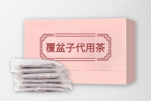 覆盆子代用茶代加工方案及所需手續-德州健之源